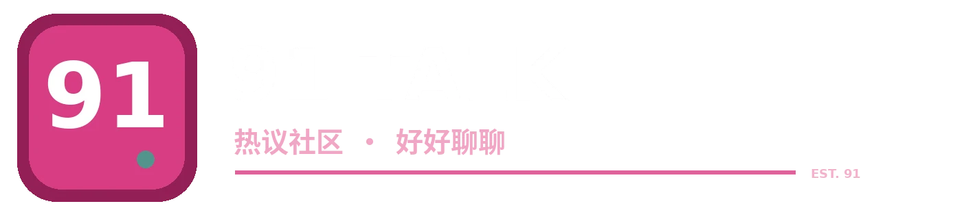 91 VIDEO品牌标识